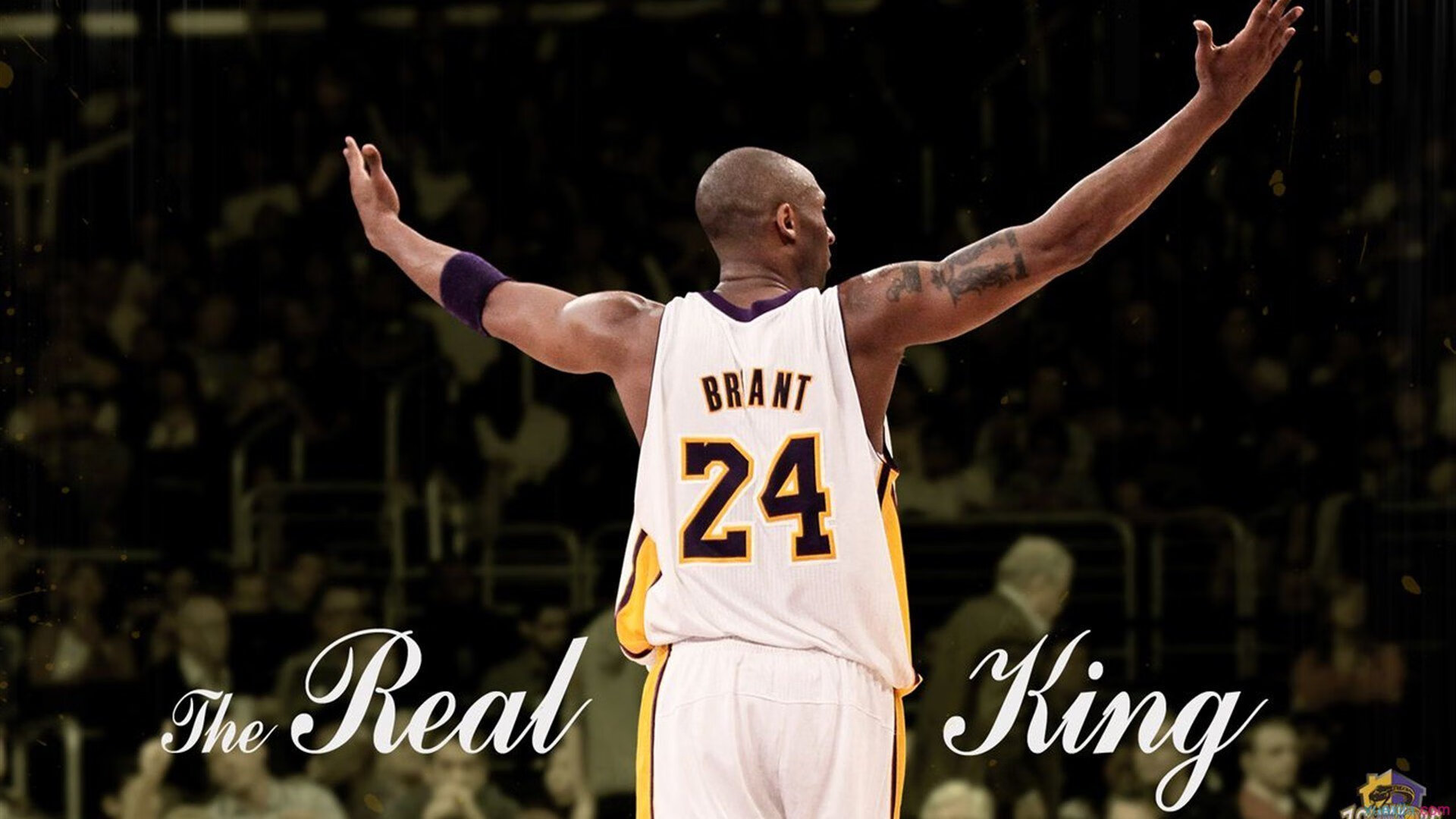 体育明星跨界参与综艺热度不减,体育明星专访